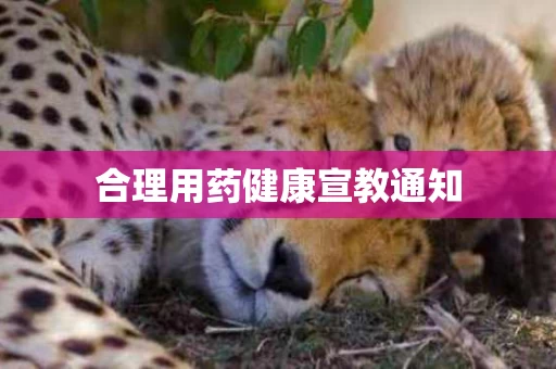 合理用药健康宣教通知