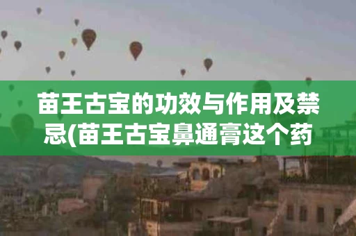 苗王古宝的功效与作用及禁忌(苗王古宝鼻通膏这个药效果如何)