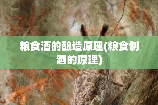 粮食酒的酿造原理(粮食制酒的原理)