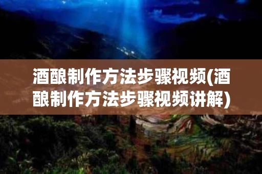 酒酿制作方法步骤视频(酒酿制作方法步骤视频讲解)