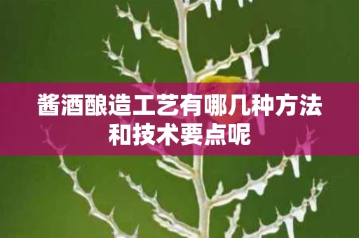 酱酒酿造工艺有哪几种方法和技术要点呢