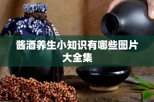 酱酒养生小知识有哪些图片大全集