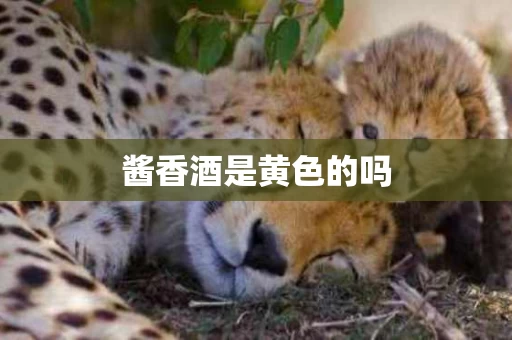 酱香酒是黄色的吗