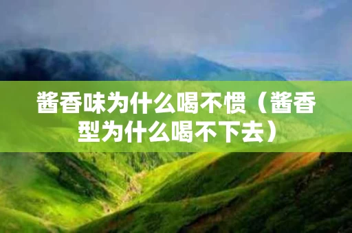 酱香味为什么喝不惯（酱香型为什么喝不下去）