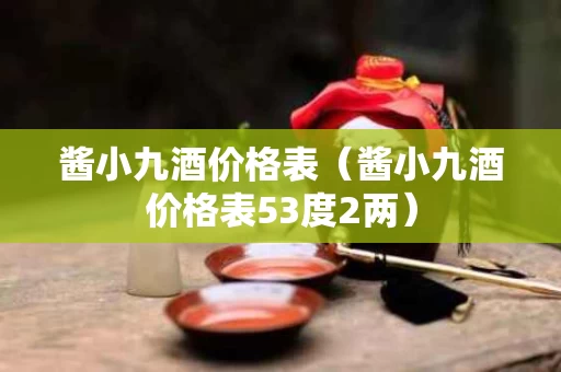 酱小九酒价格表（酱小九酒价格表53度2两）