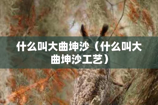 什么叫大曲坤沙（什么叫大曲坤沙工艺）
