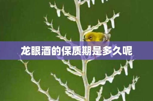 龙眼酒的保质期是多久呢