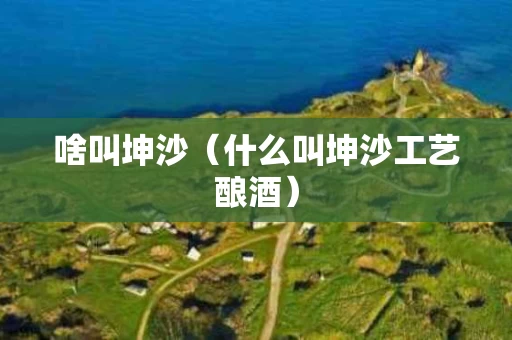 啥叫坤沙（什么叫坤沙工艺酿酒）