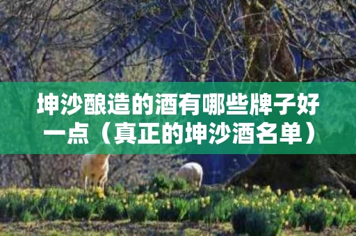 坤沙酿造的酒有哪些牌子好一点（真正的坤沙酒名单）
