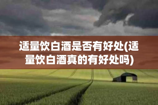 适量饮白酒是否有好处(适量饮白酒真的有好处吗)