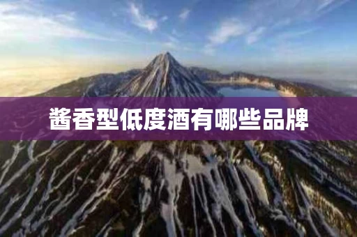酱香型低度酒有哪些品牌