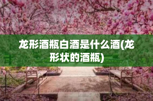 龙形酒瓶白酒是什么酒(龙形状的酒瓶)