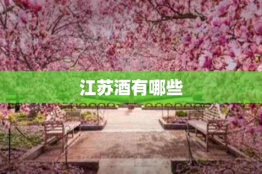 江苏酒有哪些