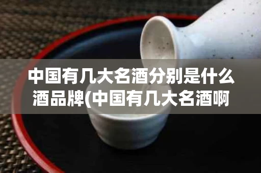 中国有几大名酒分别是什么酒品牌(中国有几大名酒啊)