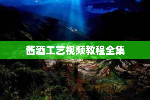 酱酒工艺视频教程全集