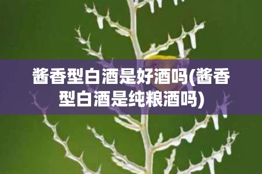 酱香型白酒是好酒吗(酱香型白酒是纯粮酒吗)