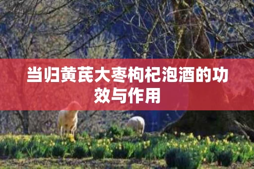 当归黄芪大枣枸杞泡酒的功效与作用 当归黄芪大枣枸杞泡酒的功效与作用