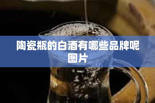 陶瓷瓶的白酒有哪些品牌呢图片
