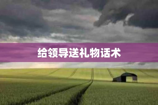 给领导送礼物话术