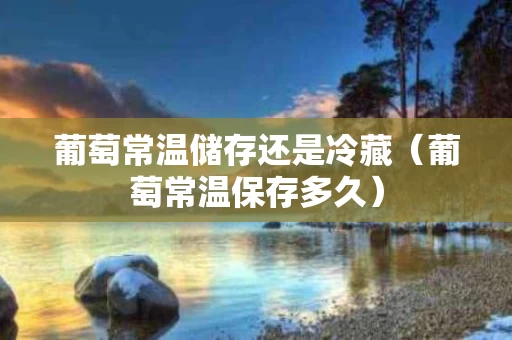 葡萄常温储存还是冷藏（葡萄常温保存多久）