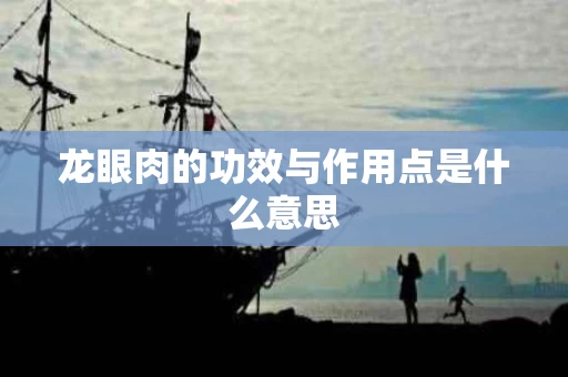 龙眼肉的功效与作用点是什么意思