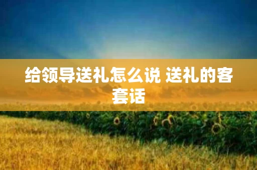 给领导送礼怎么说 送礼的客套话