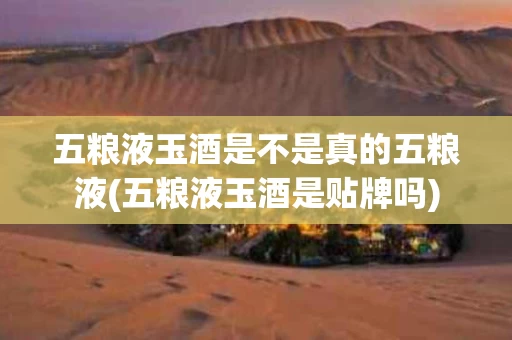 五粮液玉酒是不是真的五粮液(五粮液玉酒是贴牌吗)