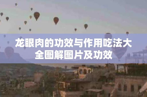 龙眼肉的功效与作用吃法大全图解图片及功效
