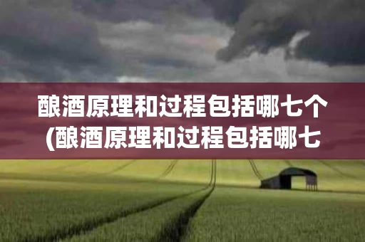 酿酒原理和过程包括哪七个(酿酒原理和过程包括哪七个过程)