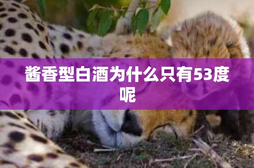 酱香型白酒为什么只有53度呢