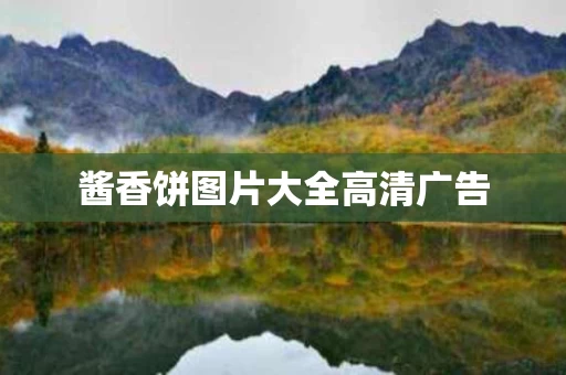 酱香饼图片大全高清广告