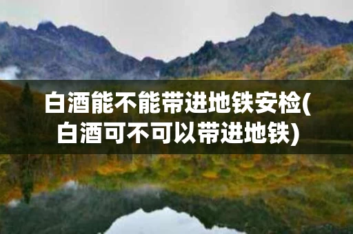 白酒能不能带进地铁安检(白酒可不可以带进地铁)