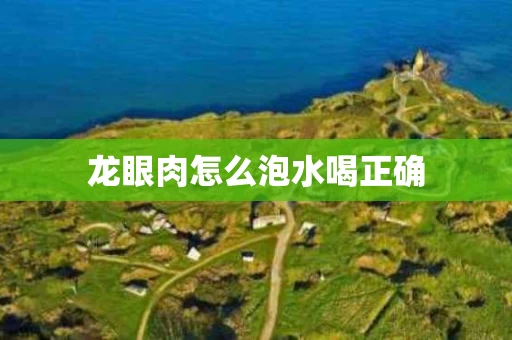 龙眼肉怎么泡水喝正确