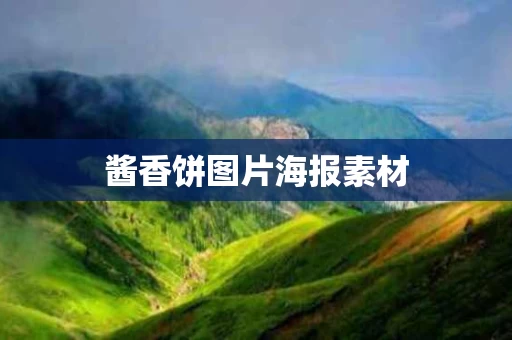 酱香饼图片海报素材