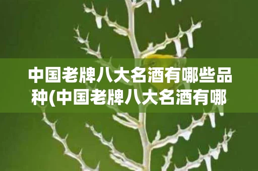 中国老牌八大名酒有哪些品种(中国老牌八大名酒有哪些品种名称)