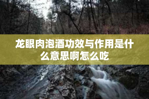 龙眼肉泡酒功效与作用是什么意思啊怎么吃