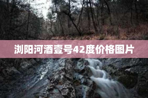 浏阳河酒壹号42度价格图片
