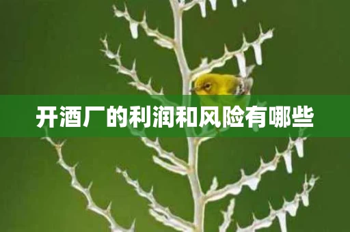 开酒厂的利润和风险有哪些