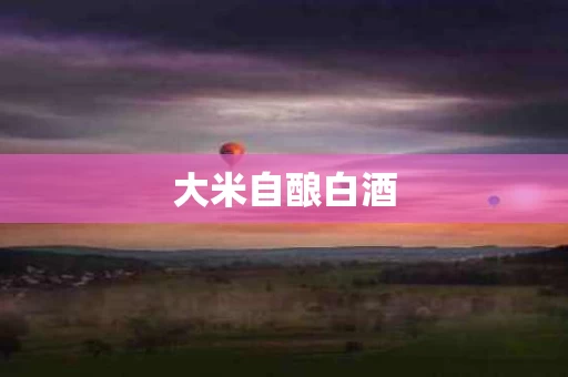 大米自酿白酒