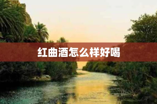 红曲酒怎么样好喝