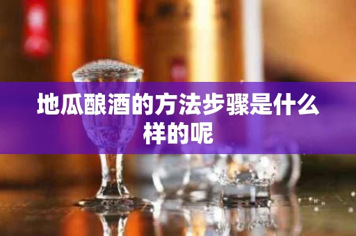 地瓜酿酒的方法步骤是什么样的呢