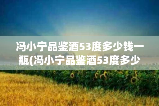 冯小宁品鉴酒53度多少钱一瓶(冯小宁品鉴酒53度多少钱一瓶呢)