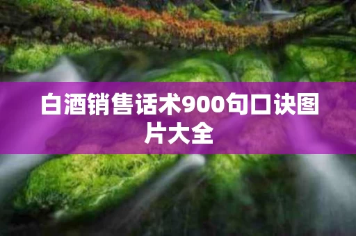 白酒销售话术900句口诀图片大全