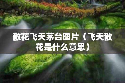 散花飞天茅台图片（飞天散花是什么意思）