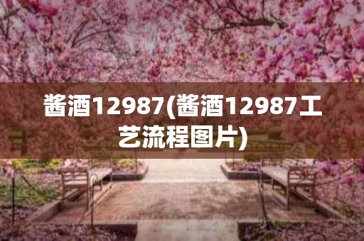 酱酒12987(酱酒12987工艺流程图片)