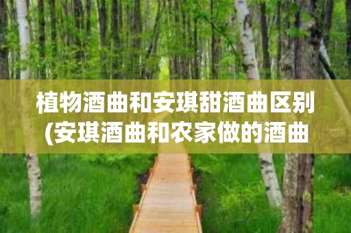 植物酒曲和安琪甜酒曲区别(安琪酒曲和农家做的酒曲哪种好) 植物酒曲和安琪甜酒曲区别(安琪酒曲和农家做的酒曲哪种好)