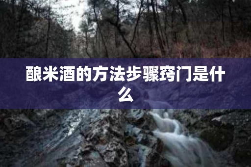 酿米酒的方法步骤窍门是什么