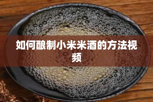 如何酿制小米米酒的方法视频