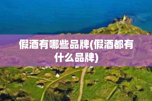 假酒有哪些品牌(假酒都有什么品牌)