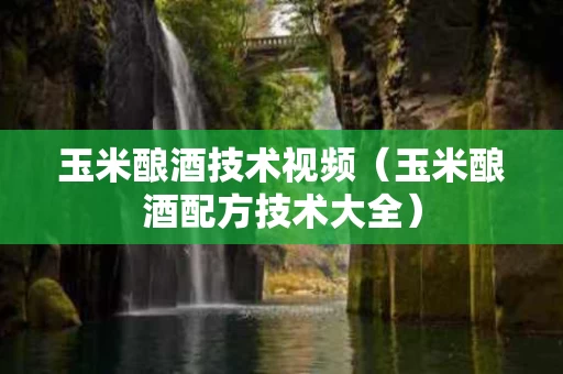 玉米酿酒技术视频（玉米酿酒配方技术大全）